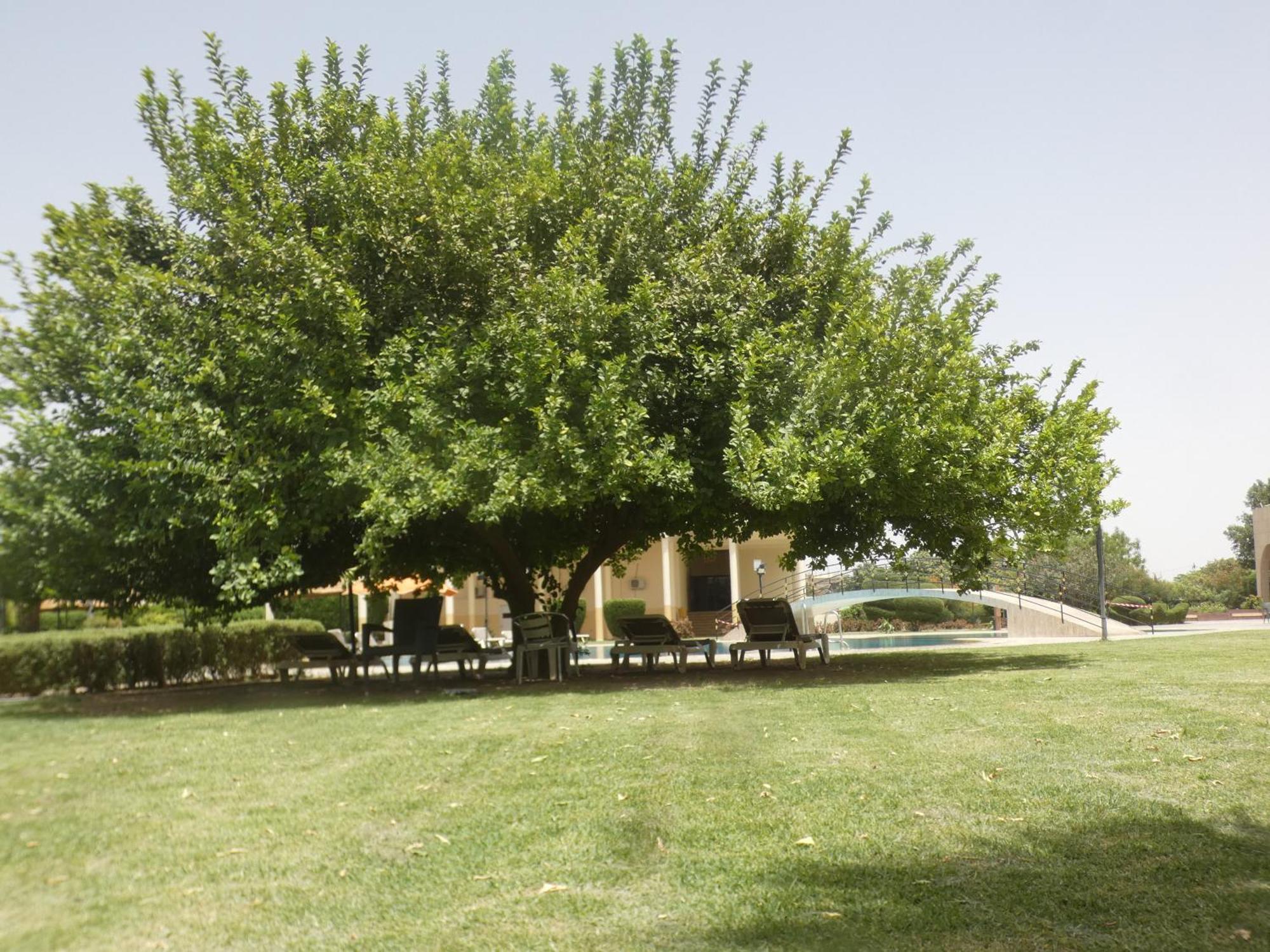 L'Amitie Hotel NʼDjamena Dış mekan fotoğraf